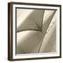 Head Sails of a Schooner-Michael Kahn-Framed Giclee Print