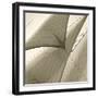 Head Sails of a Schooner-Michael Kahn-Framed Giclee Print