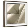 Head Sails of a Schooner-Michael Kahn-Framed Giclee Print