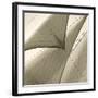 Head Sails of a Schooner-Michael Kahn-Framed Giclee Print