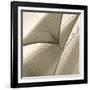 Head Sails of a Schooner-Michael Kahn-Framed Giclee Print