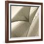 Head Sails of a Schooner-Michael Kahn-Framed Giclee Print