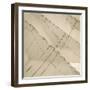 Head Sails of a Tall Ship-Michael Kahn-Framed Giclee Print