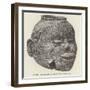 Head-Shaped Vase: Pecan Point, Arkansas-null-Framed Giclee Print