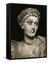 Head/Shoulders Sculpture of Constantine-null-Framed Stretched Canvas