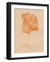 'Head Sketch', c1895, (1896)-George Frederick Watts-Framed Giclee Print