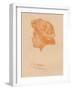 'Head Sketch', c1895, (1896)-George Frederick Watts-Framed Giclee Print