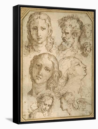 Head Studies: a Woman, an Angel, a Youth and a Bearded Man-Aurelio Luini-Framed Stretched Canvas