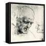 Head Studies-Leonardo Da Vinci-Framed Stretched Canvas