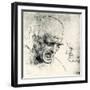 Head Studies-Leonardo Da Vinci-Framed Giclee Print