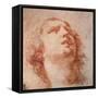 Head Study of a Woman Looking Up, 17th Century-Pietro da Cortona-Framed Stretched Canvas