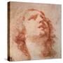 Head Study of a Woman Looking Up, 17th Century-Pietro da Cortona-Stretched Canvas