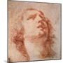 Head Study of a Woman Looking Up, 17th Century-Pietro da Cortona-Mounted Giclee Print