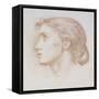 Head Study of a Young Woman, C.1880 (Chalk on Paper)-Edward John Poynter-Framed Stretched Canvas