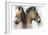 Head Study (Przewalski) 2012-Mark Adlington-Framed Giclee Print