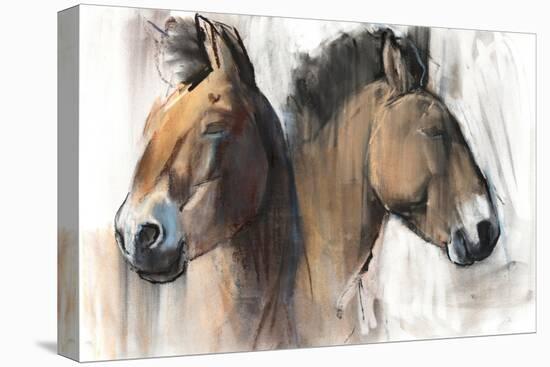 Head Study (Przewalski) 2012-Mark Adlington-Stretched Canvas