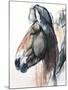Head Study, Przewalski, 2013, (detail)-Mark Adlington-Mounted Giclee Print