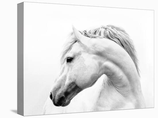 Head Turner-Samantha Carter-Stretched Canvas