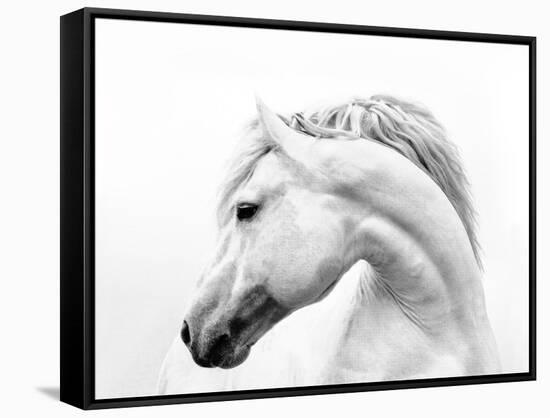 Head Turner-Samantha Carter-Framed Stretched Canvas