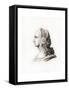 Headdress, Early 16th Century-Henry Shaw-Framed Stretched Canvas