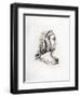 Headdress, Early 16th Century-Henry Shaw-Framed Giclee Print