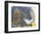 Headed Home-Ric Stultz-Framed Giclee Print