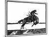 Headin For The Tulles-Frank Redlinger-Mounted Art Print