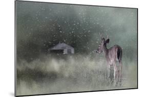 Heading Home in the First Snow-Jai Johnson-Mounted Giclee Print