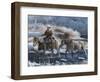 Heading Home-Kevin Daniel-Framed Art Print