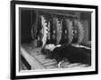 Gramercy Black