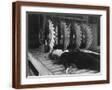 Brown Frame