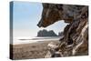 Headland at La Push Beach in the the Pacific Northwest, Washington State, United States of America,-Martin Child-Stretched Canvas