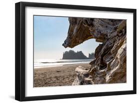 Headland at La Push Beach in the the Pacific Northwest, Washington State, United States of America,-Martin Child-Framed Photographic Print