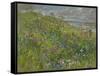 Headland Flowers near Berwick-Susan Ryder-Framed Stretched Canvas