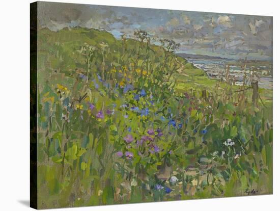 Headland Flowers near Berwick-Susan Ryder-Stretched Canvas