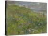 Headland Flowers near Berwick-Susan Ryder-Stretched Canvas