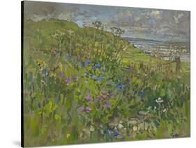 Headland Flowers near Berwick-Susan Ryder-Stretched Canvas