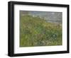 Headland Flowers near Berwick-Susan Ryder-Framed Giclee Print