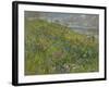 Headland Flowers near Berwick-Susan Ryder-Framed Giclee Print