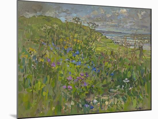 Headland Flowers near Berwick-Susan Ryder-Mounted Giclee Print