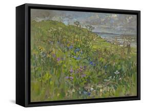 Headland Flowers near Berwick-Susan Ryder-Framed Stretched Canvas