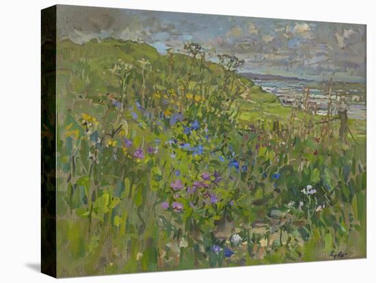 Headland Flowers near Berwick-Susan Ryder-Stretched Canvas