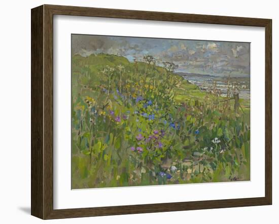 Headland Flowers near Berwick-Susan Ryder-Framed Giclee Print