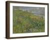 Headland Flowers near Berwick-Susan Ryder-Framed Giclee Print