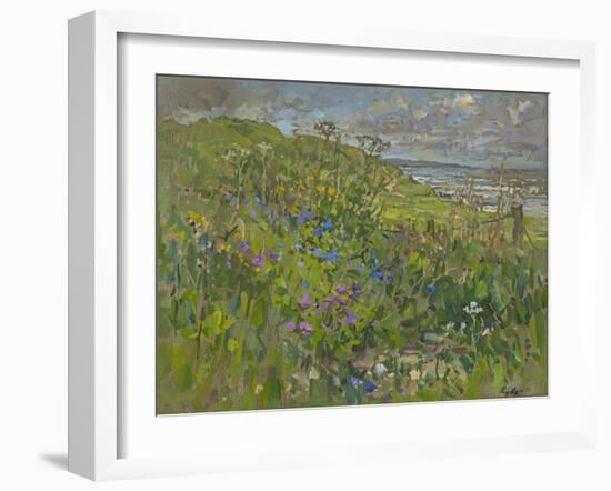 Headland Flowers near Berwick-Susan Ryder-Framed Giclee Print