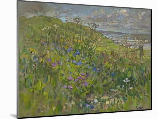 Headland Flowers near Berwick-Susan Ryder-Mounted Giclee Print
