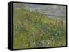 Headland Flowers near Berwick-Susan Ryder-Framed Stretched Canvas