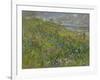 Headland Flowers near Berwick-Susan Ryder-Framed Giclee Print