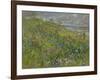Headland Flowers near Berwick-Susan Ryder-Framed Giclee Print