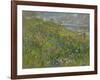 Headland Flowers near Berwick-Susan Ryder-Framed Giclee Print